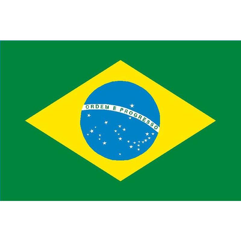 BRAZIL FLAG 20X30