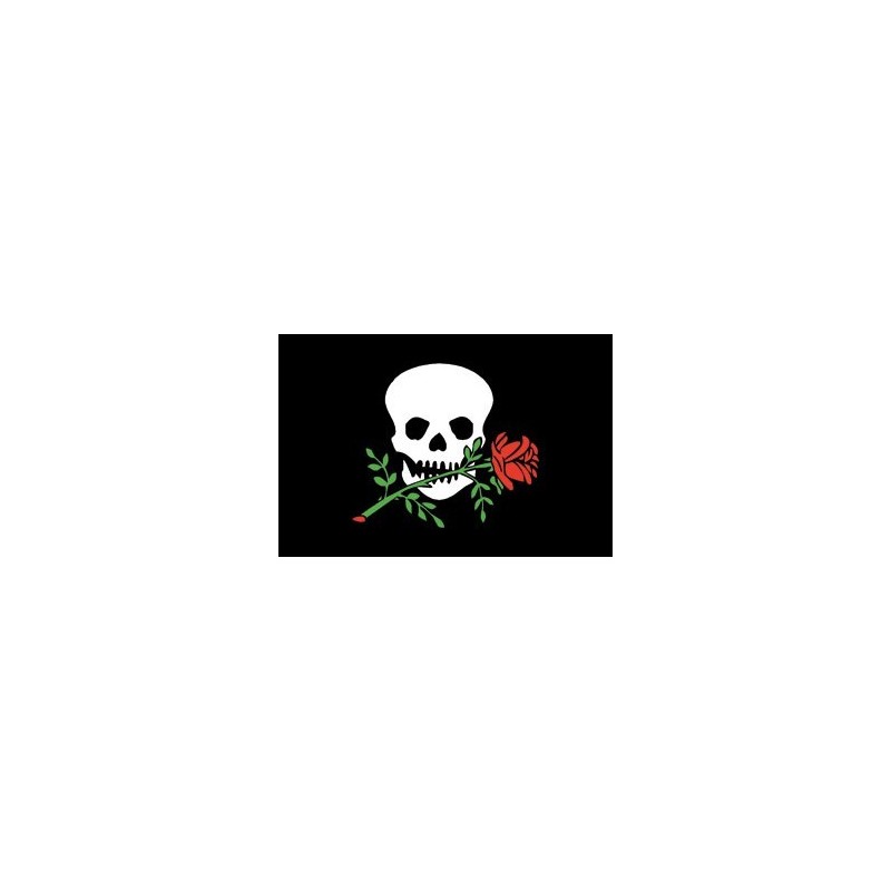 PIRATE WITH ROSE FLAG 40X60