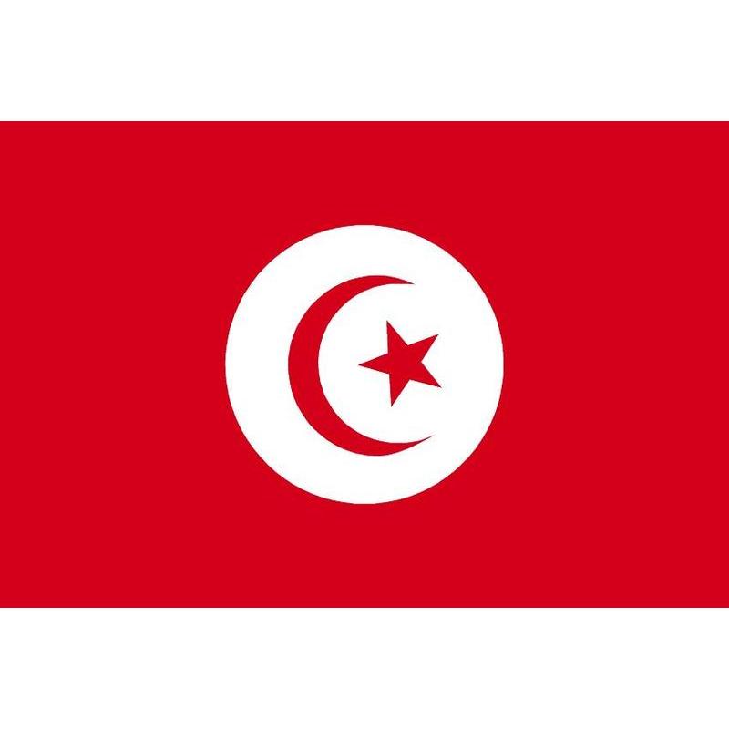 TUNISIA FLAG 20X30