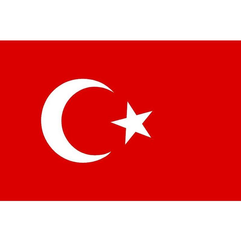 TURKEY FLAG 20X30